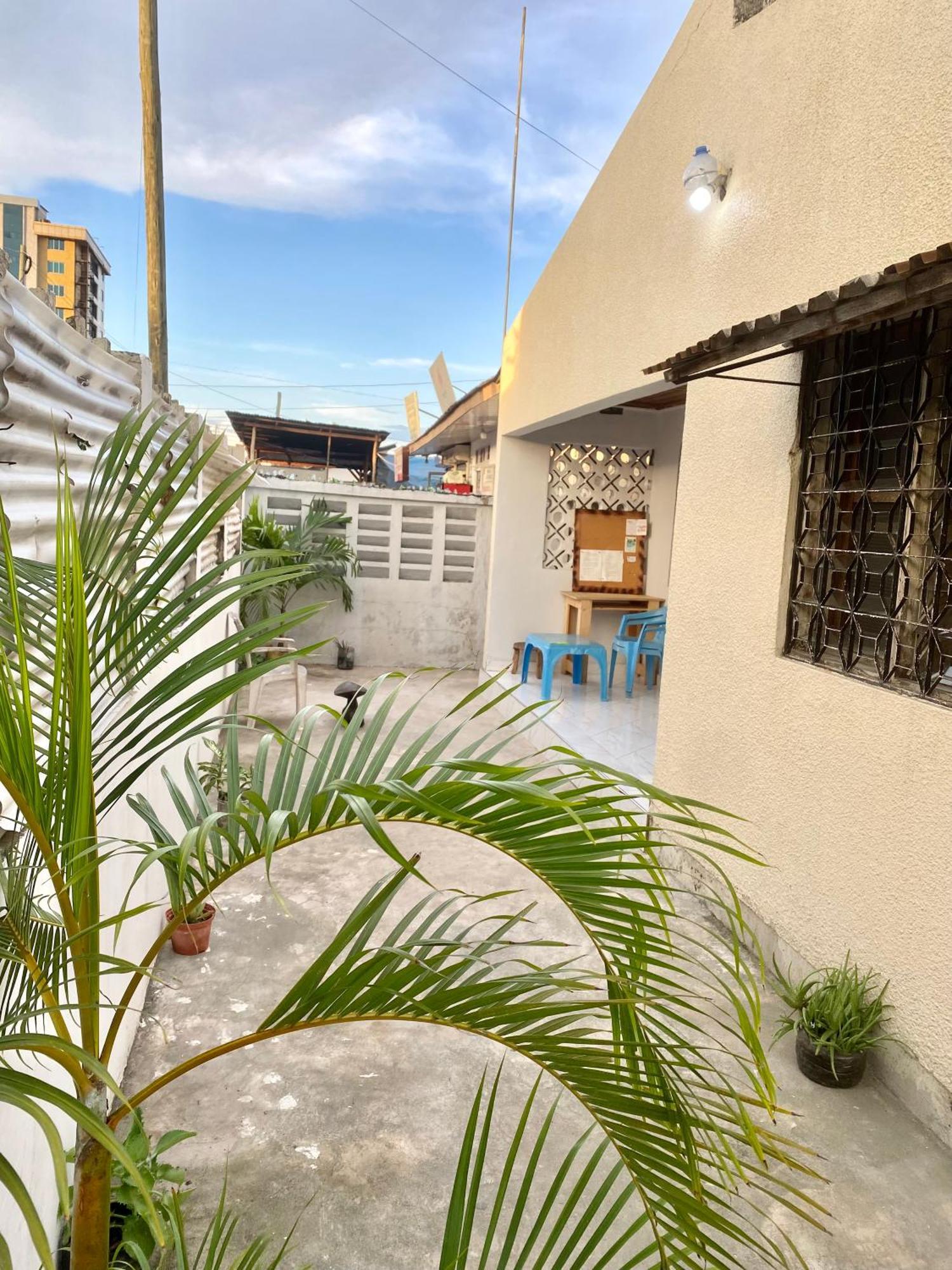 דאר א-סאלאם The Nest Haven Hostel מראה חיצוני תמונה